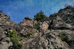 IMG_20220805_103129
