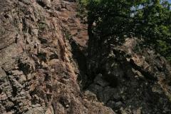 IMG_20220805_121221