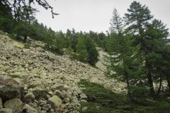 220907Peyra-Plata-4