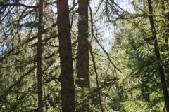 220908Lac-Egorgeou-1