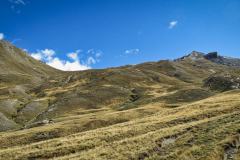 220909ColdUrine-5