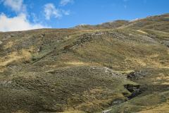 220909ColdUrine-6
