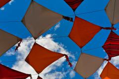 220909ColdUrine-9