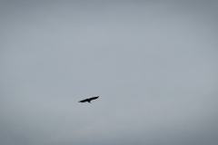 220913TroisCols-10