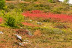 220913TroisCols-6