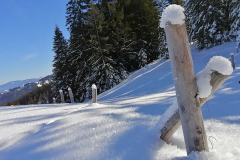 Schneeschuh-Allgaeu-11