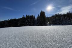 Schneeschuh-Allgaeu-7