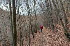 Bad-Urach-15