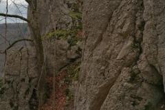 Bad-Urach-18