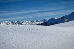 IMG_5665