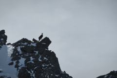 IMG_5695