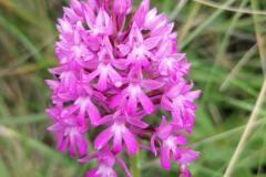 IMG_20230509_112436