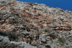 IMG_20230510_161146