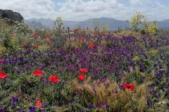 IMG_20230511_122500