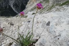 Dolomiti-Senza-Confini-Tag-3-53