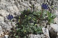 Dolomiti-Senza-Confini-Tag-4-13