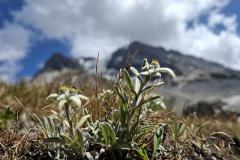 Urlaub-Part-2-Tour-des-Glaciers-Etappe-1-19