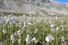 Urlaub-Part-2-Tour-des-Glaciers-Etappe-2-9