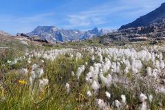 Urlaub-Part-2-Tour-des-Glaciers-Etappe-5-23