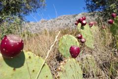 Urlaub-Part-9-Wanderung-Pic-des-Mouches-1