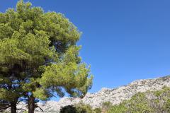 Urlaub-Part-9-Wanderung-Pic-des-Mouches-2