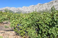 Urlaub-Part-9-Wanderung-Pic-des-Mouches-3