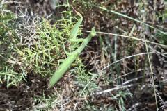 Urlaub-Part-9-Wanderung-Pic-des-Mouches-5-2